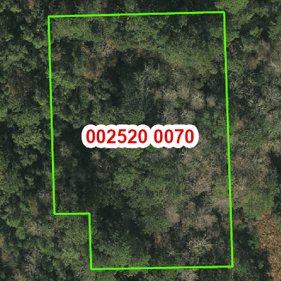 Topograhic image of property
