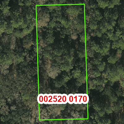 Topograhic image of property