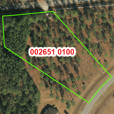 Topograhic image of property