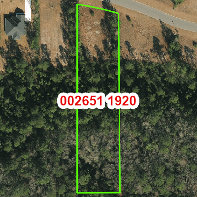 Topograhic image of property