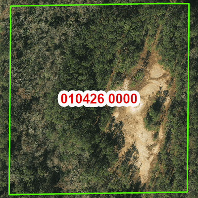 Topograhic image of property
