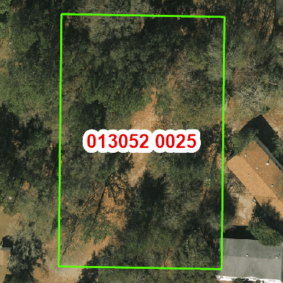 Topograhic image of property