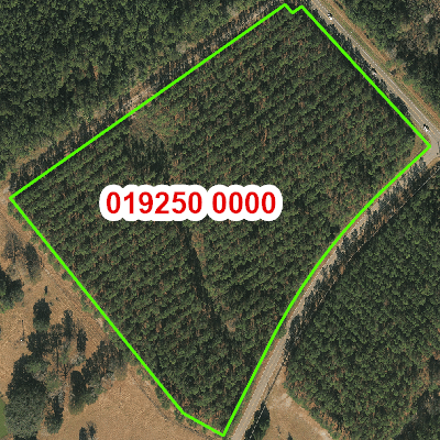 Topograhic image of property