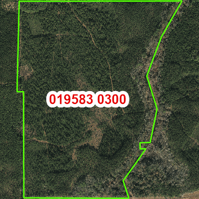 Topograhic image of property