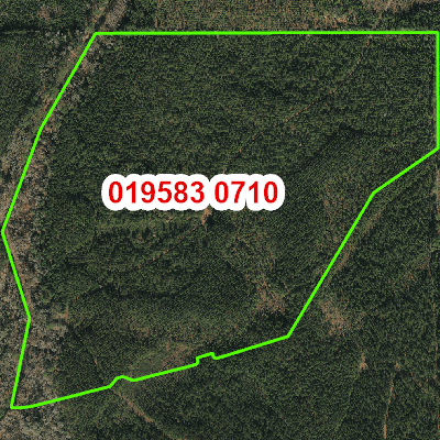 Topograhic image of property