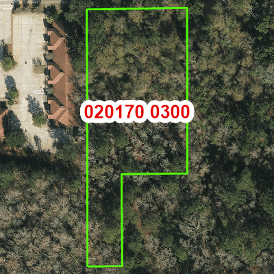 Topograhic image of property