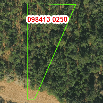 Topograhic image of property